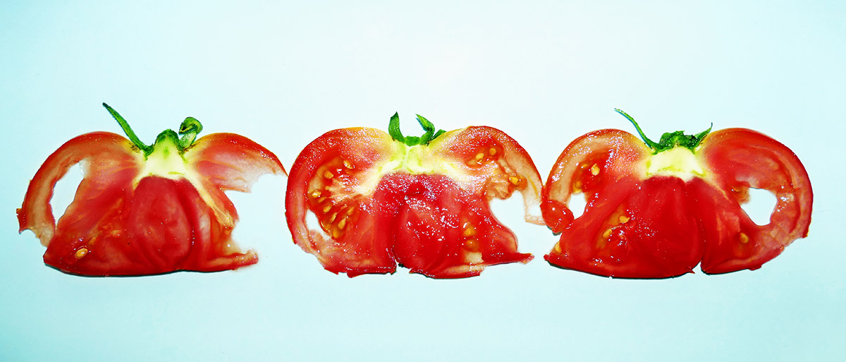 tomaten-2-klein